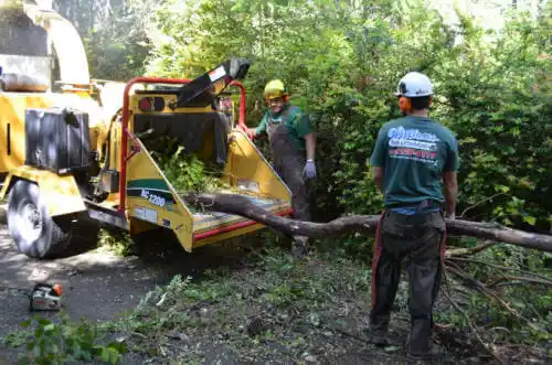 tree services Mackinaw